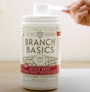 Branch Basics Laundry Detergent