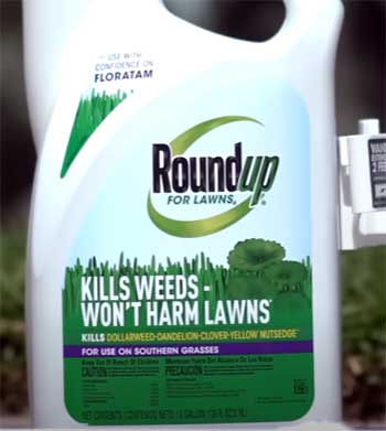 Roundup Weed Killer