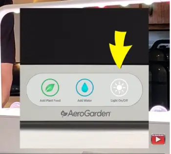 Auk Vs. AeroGarden