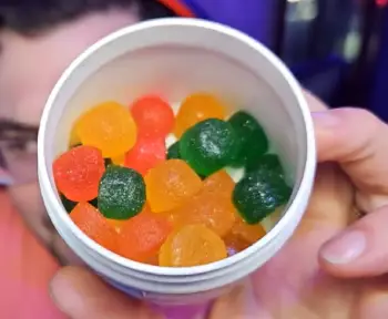 Cheech And Chong Gummies