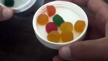 Cheech And Chong Gummies