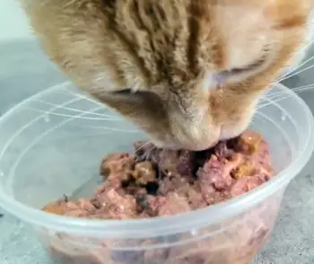 Nutrish Cat Food