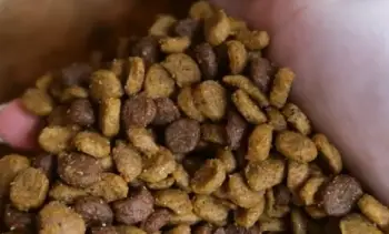 Nutrish Cat Food