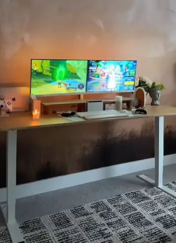 Flexispot