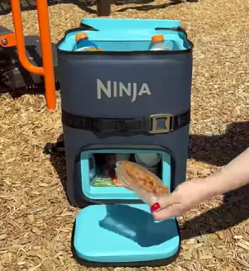 Ninja Frostvault