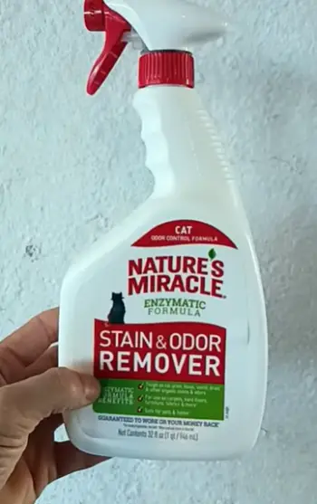 Nature miracle