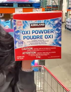 Kirkland Oxi Powder