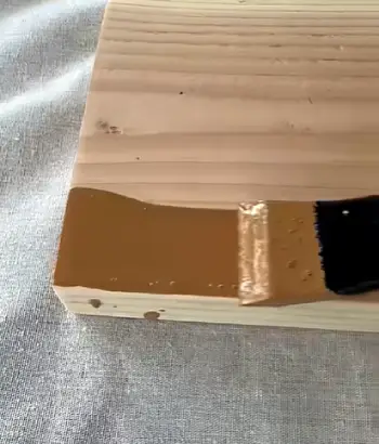 Thompson's Water Seal