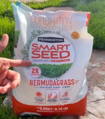 Grass Seed