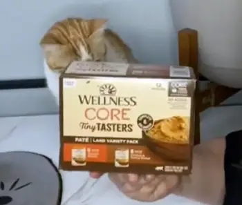 Wellness wet Cat Food