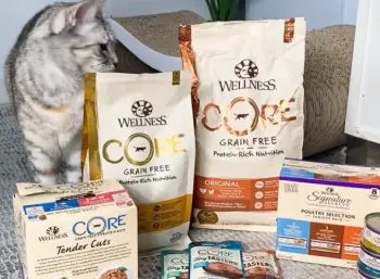 Wellness Wet Cat Food