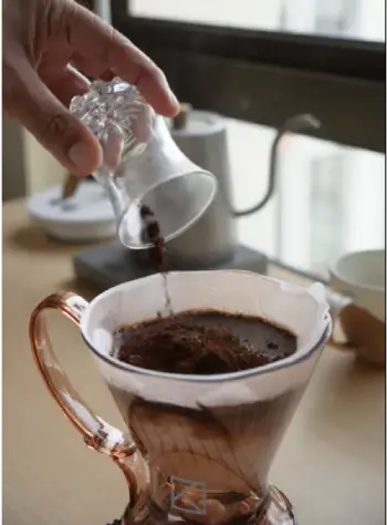 clever dripper