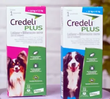 Credelio Quattro Vs. NexGard Plus