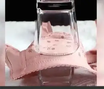 Fiona Charm Daisy Bra 