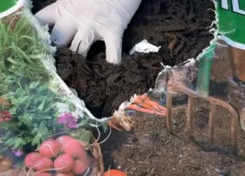 Kellogg's Topper Soil 
