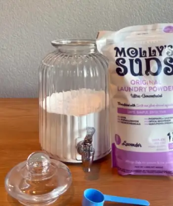 Mollys suds