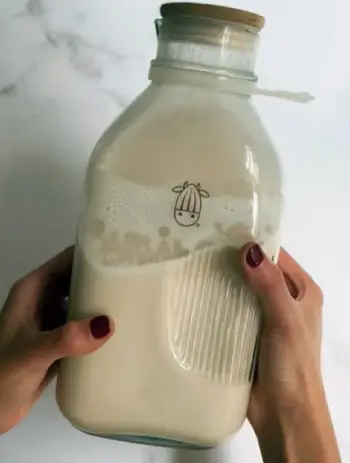 Nut Milk Bags