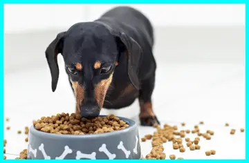 Valu Pak Dog Food Reviews