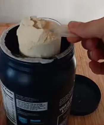 Vega Protein Powder