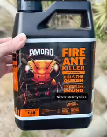 AMDRO