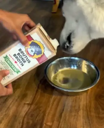 Brutus Bone Broth