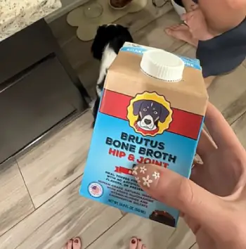 Brutus Bone Broth