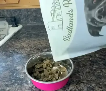 Katherine Heigl Dog Food