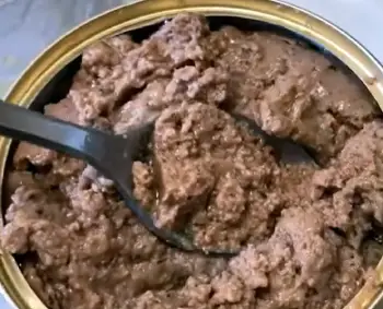 blue buffalo wilderness cat food