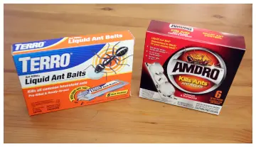 AMDRO Vs. Terro