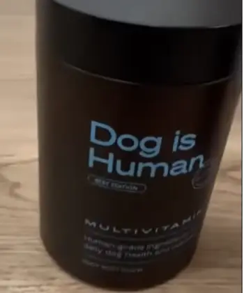 Dog Is Human