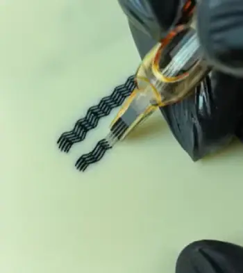 Dragonhawk 