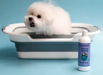 Earthbath Dog Shampoo
