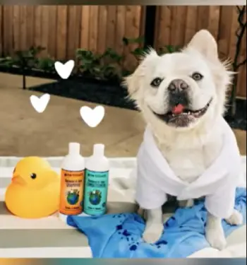 earthbath dog shampoo