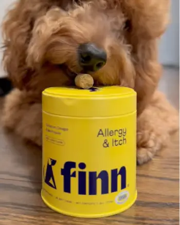 Finn Allergy And Itch 