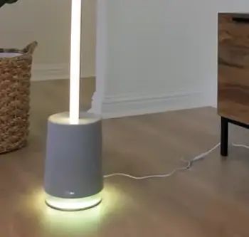 Govee Floor Lamp 2