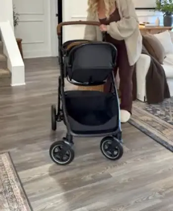 Joie Ginger And Mint Travel System