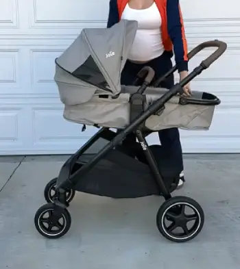Joie Ginger And Mint Travel System
