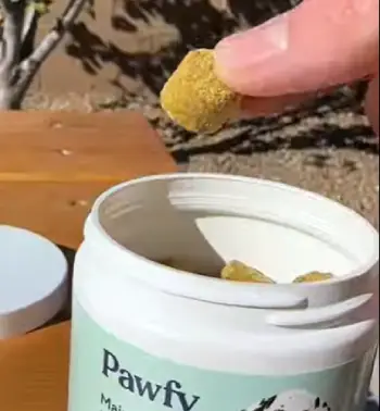 Pawfy
