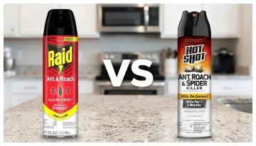 Hot Shot Vs. Raid Fogger