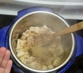 Pioneer Woman Pressure Instant Pot