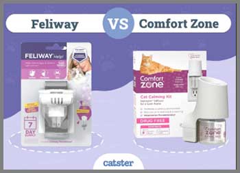 Comfort Zone Vs. Feliway