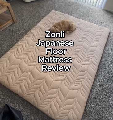 Zonli Futon Mattress