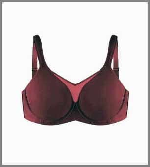 SheCurve Minimizer Bra