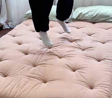 Zonli Futon Mattress