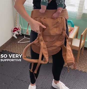 Wildbird Aerial Carrier