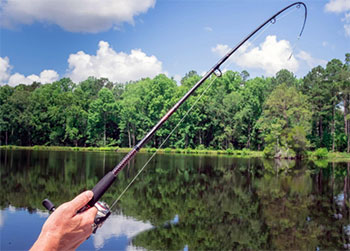 Ugly Stik GX2