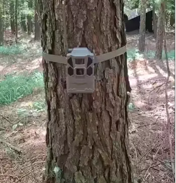 Tactacam Reveal