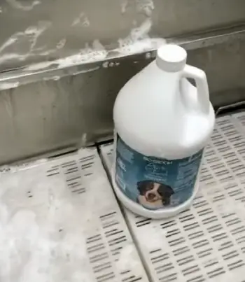 Bio Groom Shampoo