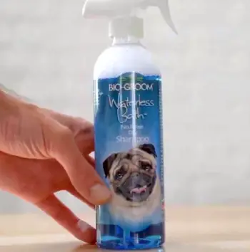 Bio Groom Shampoo