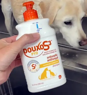 Douxo S3 Pyo Shampoo